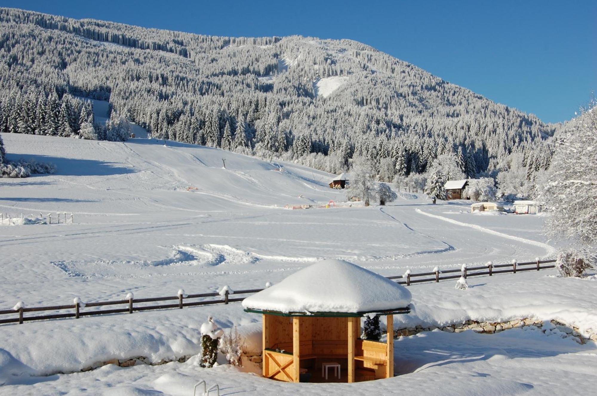 Ferienhaus Franz Weissbriach Dış mekan fotoğraf